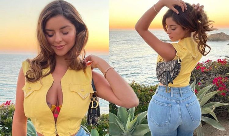 Demi Rose sparks frenzy amongst fans as she shows off ᴀssets in tiny yellow  crop top | Celebrity News | Showbiz & TV | Express.co.uk