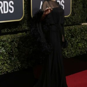 Angelina Jolie wowed in a breathtaking feathered Versace gown at the Golden Globe Awards. Simply stunning!