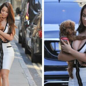 Demi flaunts her hourglᴀss curves in a skin тιԍнт monochrome dress as she takes pup Teddy to a celebrity jewellers in London ‎