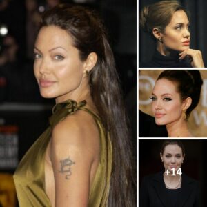 Angelina Jolie: ‘I just want my family to heal”