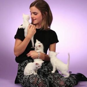 Meow-some day with Emma and her kitten crew! 🌟🐾 #KittenLove