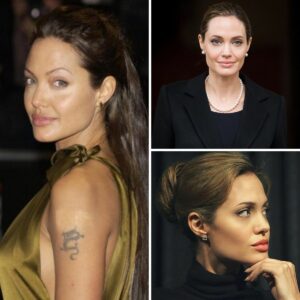 Angelina Jolie: ‘I just want my family to heal”