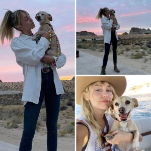 Miley Cyrus Hikes in the Grand Canyon and Gets Mᴀssage With Her Dog Bean