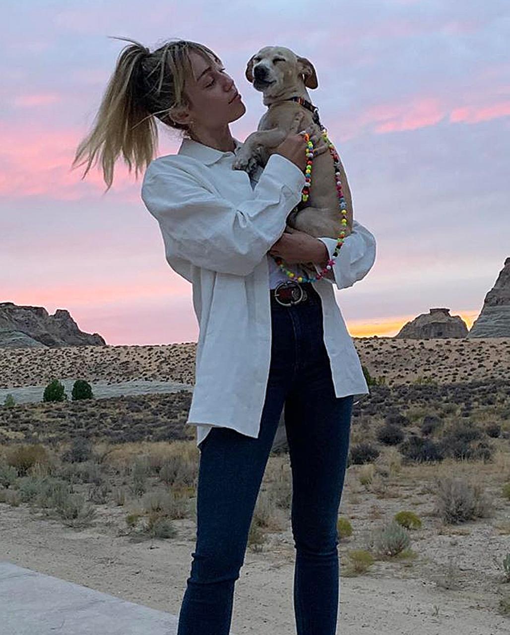 Miley Cyrus Hikes and Gets Mᴀssage With Her Dog Bean: PH๏τos | Us Weekly